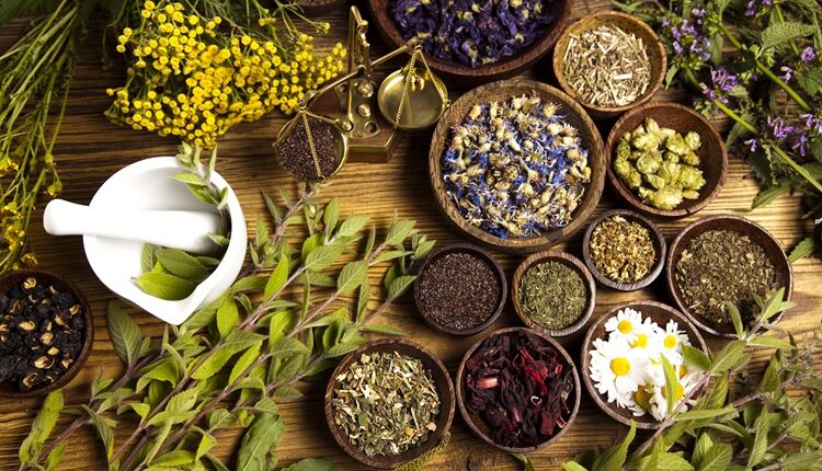 Herbal Medicine